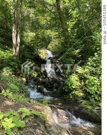 流れ落ちる白い滝「白滝」 流れ落ちる白い滝「白滝」 105452266
