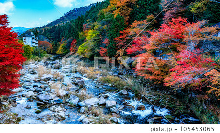 奥津渓の紅葉 奥津渓の紅葉 105453065