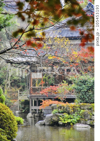 秋の日本庭園 秋の日本庭園 105453193