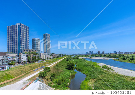 日本の川崎都市景観 夏・猛烈な暑さ…多摩川や水鳥の群れ、武蔵小杉駅前のタワーマンション群などを望む 105453383