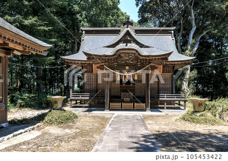 スダジイの巨木があることで知られる三嶋神社社殿拝殿 スダジイの巨木があることで知られる三嶋神社社殿拝殿 105453422
