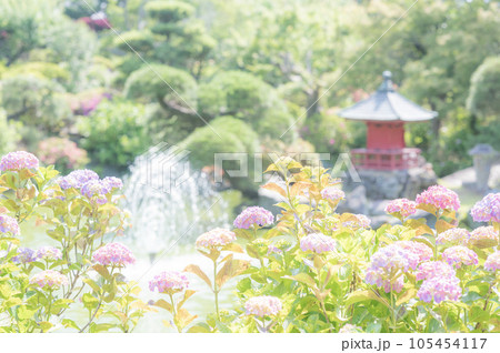 茨城　保和苑 105454117