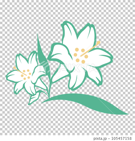 簡單的百合花插畫 簡單的百合花插畫 105457158