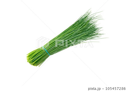 Green chives leaves bunch isolated on white 105457286
