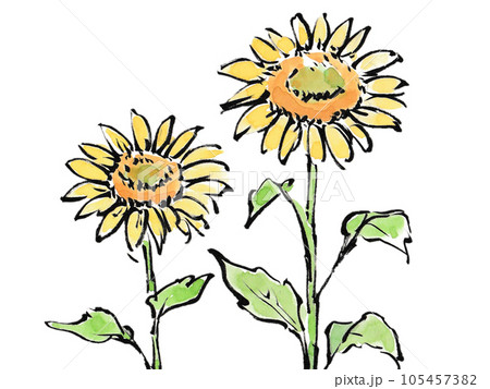 水彩で描いたひまわりのイラストのイラスト素材 [105457382] - PIXTA