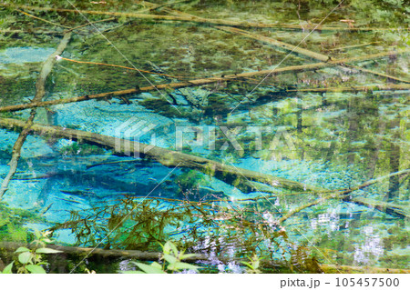神秘の神の子池 105457500