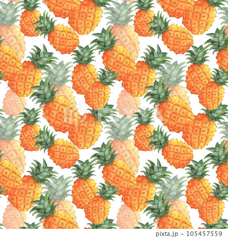 Pineapples seamless pattern, hand painted watercolor fruits on white 105457559