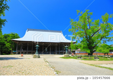 【富山県】快晴の勝興寺の巨大な本堂(国宝) 【富山県】快晴の勝興寺の巨大な本堂(国宝) 105457666