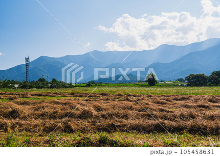 夏の安曇野　牧草のある風景 105458631