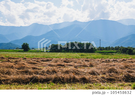 夏の安曇野　牧草のある風景 105458632