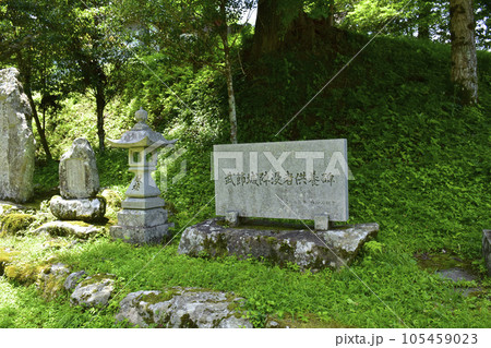 愛知県豊田市　武節城趾　供養碑 105459023