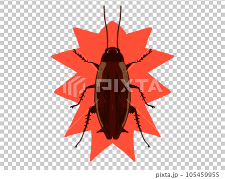Illustration of a cockroach 105459955