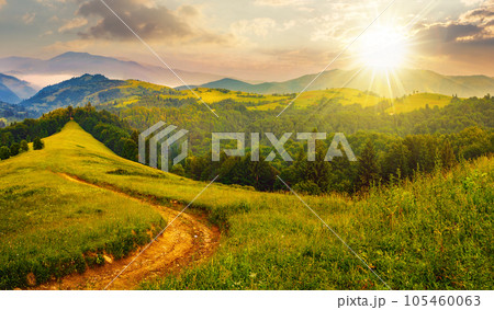 rural landscape with empty dirt road to coniferous forest through the grassy hillside meadow at sunset. high mountain range in the distance. beautiful countryside scenery in evening light 105460063