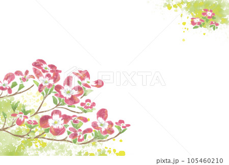 ピンクの花の背景 105460210