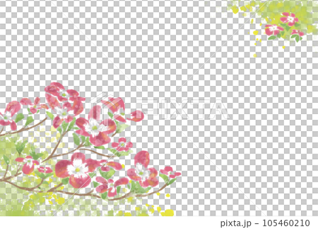 ピンクの花の背景 105460210