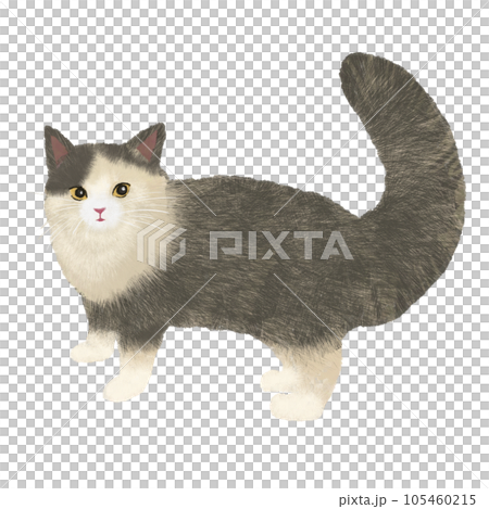 A cat here 105460215