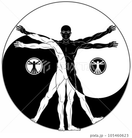 human anatomy vector with yin yang human anatomy vector with yin yang 105460623