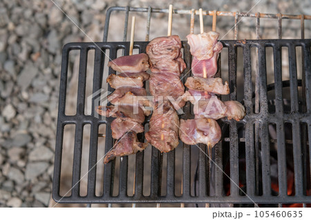【オートキャンプ場でソロキャンプ　熾火で焼き鳥タン、ハツ、砂肝を焼く】 105460635