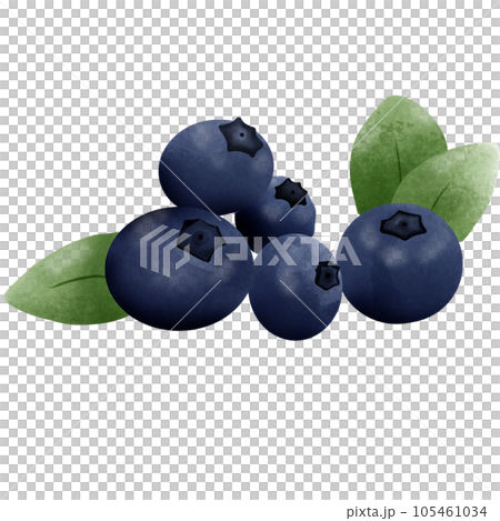 Blueberry 105461034