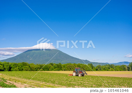 ニセコ　羊蹄山　美しい農地　トラクター 105461046