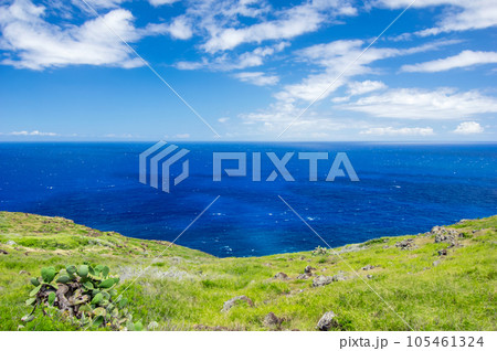 HAWAIIの絶景【マカプウ岬トレイル】 105461324