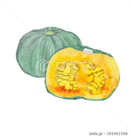 かぼちゃの水彩ベクターイラスト かぼちゃの水彩ベクターイラスト 105461386