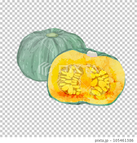 かぼちゃの水彩ベクターイラスト かぼちゃの水彩ベクターイラスト 105461386