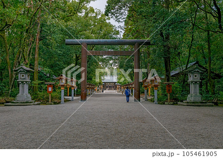 宮崎神宮 参道風景 105461905