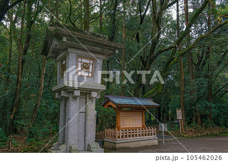 宮崎神宮 参道風景 宮崎神宮 参道風景 105462026