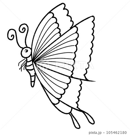 Butterfly angel wings of an angel Butterfly angel wings of an angel 105462180