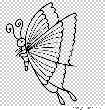 Butterfly angel wings of an angel Butterfly angel wings of an angel 105462180