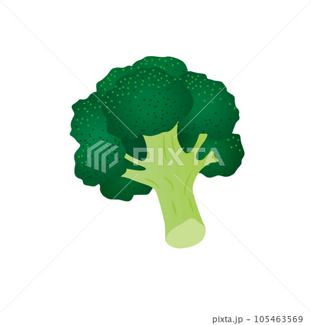 食べ物_野菜_ブロッコリー 105463569