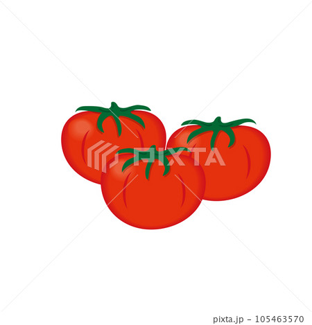 食べ物_野菜_トマト 105463570