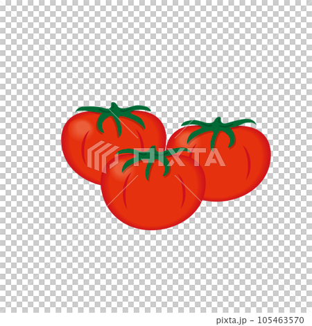 Food_Vegetables_Tomato 105463570