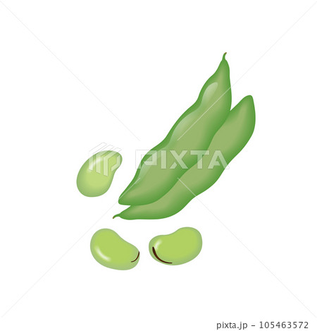 食べ物_野菜_そら豆 105463572