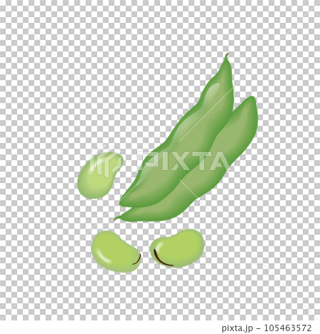 食べ物_野菜_そら豆 105463572