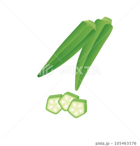 食べ物_野菜_オクラ 105463576