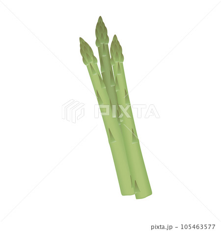 食べ物_野菜_アスパラガス 105463577