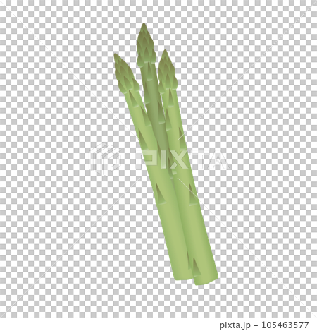 食べ物_野菜_アスパラガス 105463577
