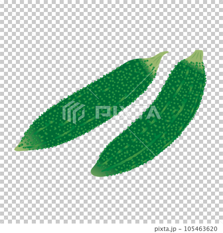 食物_蔬菜_戈雅 食物_蔬菜_戈雅 105463620