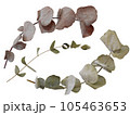 dry_Eucalyptus_leaf_elements 105463653