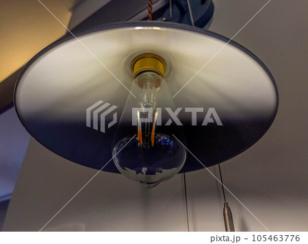電球の中のフィラメント 105463776