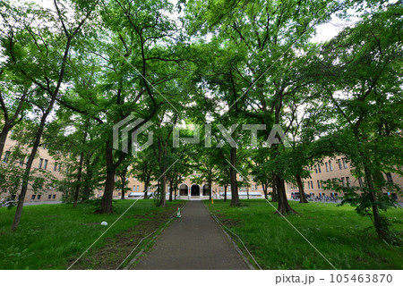 北海道大学農学部棟 全景 北海道札幌市 105463870