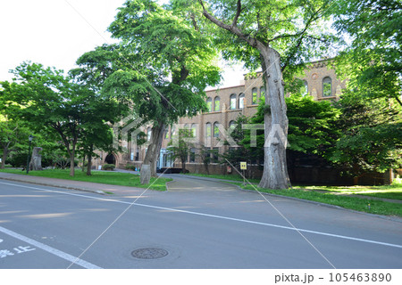 北海道大学総合博物館 旧理学部棟 札幌キャンパス 105463890