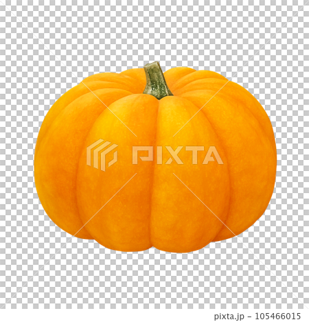 ハロウィンのかぼちゃ イラスト リアル ハロウィンのかぼちゃ イラスト リアル 105466015