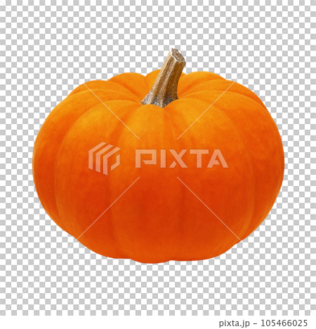 萬聖節南瓜插畫真實 105466025