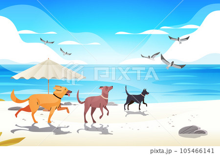 Happy national dog day greeting card various cute doggy relaxing on beach holiday of domestic animals concept seascape 105466141