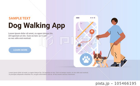 guy owner with cute dog using walking app on smartphone best friends domestic animal friendship concept guy owner with cute dog using walking app on smartphone best friends domestic animal friendship concept 105466195