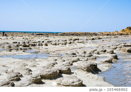 石見畳ヶ浦の化石・ノジュール（団塊）　島根県浜田市 105466902