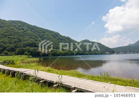 榛名湖畔の木道 105466953